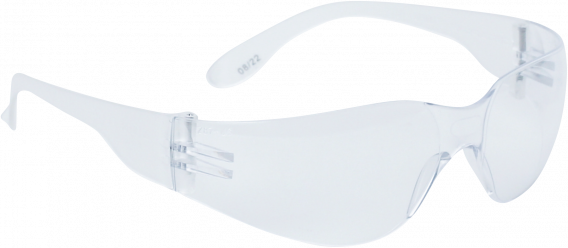 Lunettes de protection avec branche